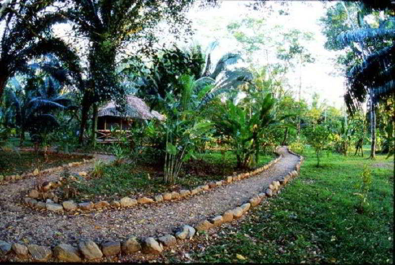 Ian Andersons Caves Branch Jungle Lodge Belmopan Bagian luar foto