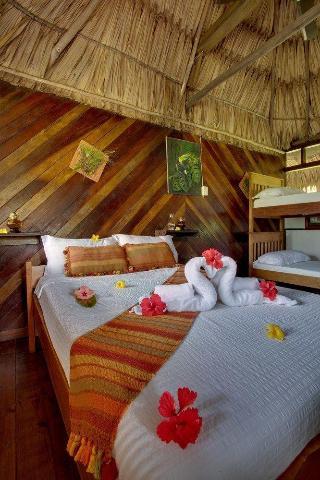 Ian Andersons Caves Branch Jungle Lodge Belmopan Bagian luar foto